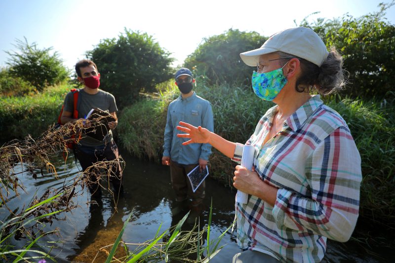 Professors and students in wetland