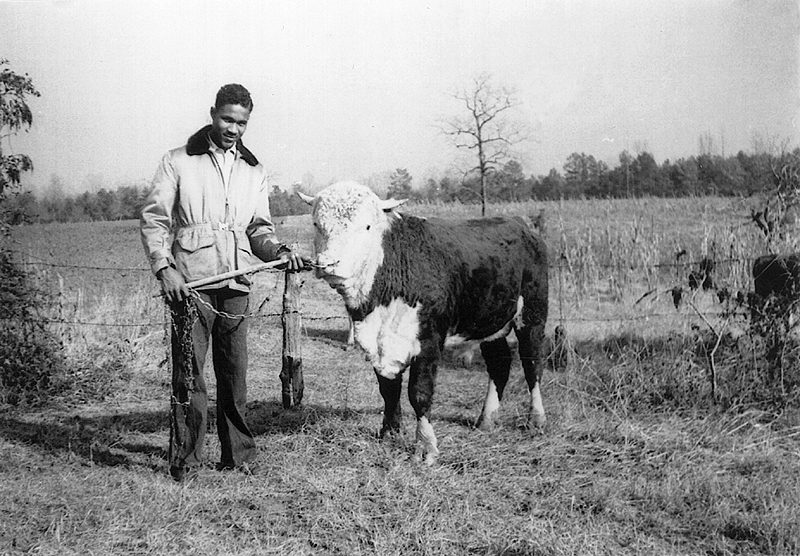 BSE Alumnus Essex Finney standing with a cow