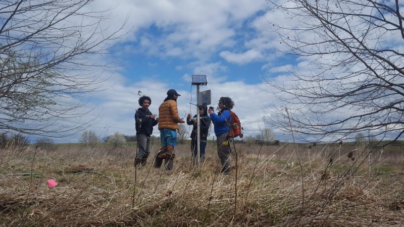 students working on the field